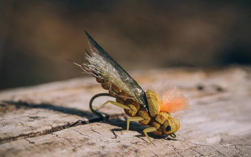 мушка нахлыстовая Golden stonefly